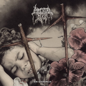 Immortal Bird - Sin Querencia