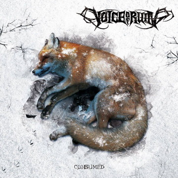 VOICE OF RUIN готвят EP