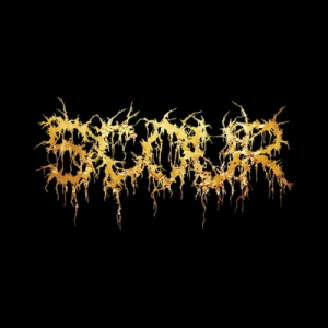 Подробности за дебютния албум на SCOUR - "Gold"