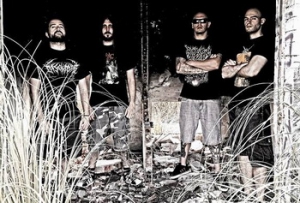 VIRULENCY подписват с New Standard Elite