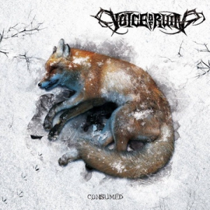 VOICE OF RUIN готвят EP