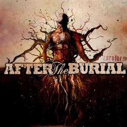 After the Burial - Rareform